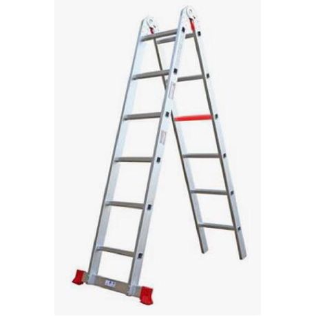 12 Step Dual Extender Ladder