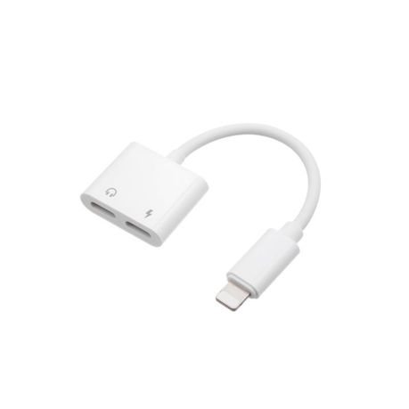 2 In 1 Lightning To Lightning And Lightning Adapter Cable