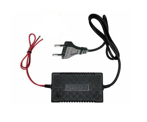 GAmistar 2A-12V Car Battery Intelligent Pulse Charger - Syntronics