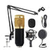 Music D.J M800 Condenser Microphone - Syntronics