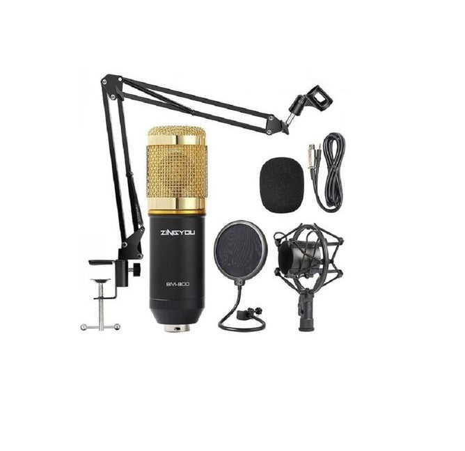 BM 800 Condenser Microphone Professional Mic Kit